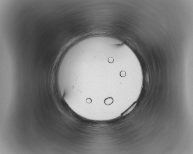 X0000113020492200910081203