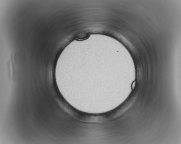 X0000113020493200910081203