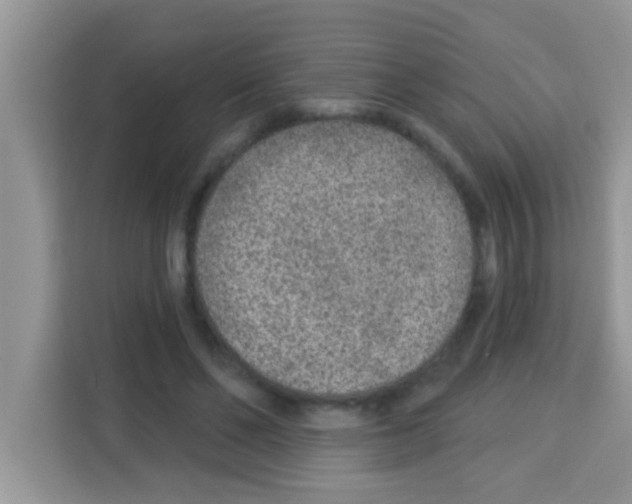 X0000113020494200910081203