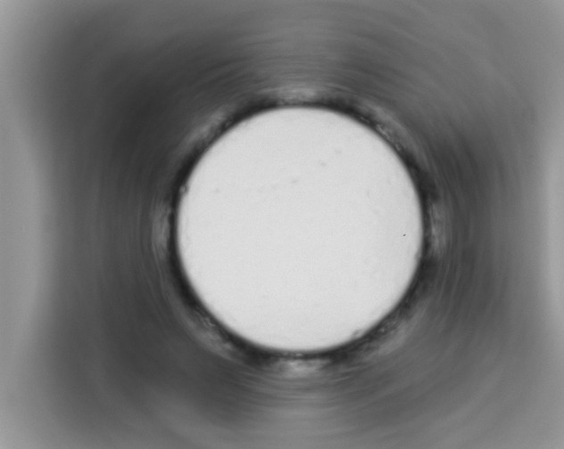 X0000113020495200910081203