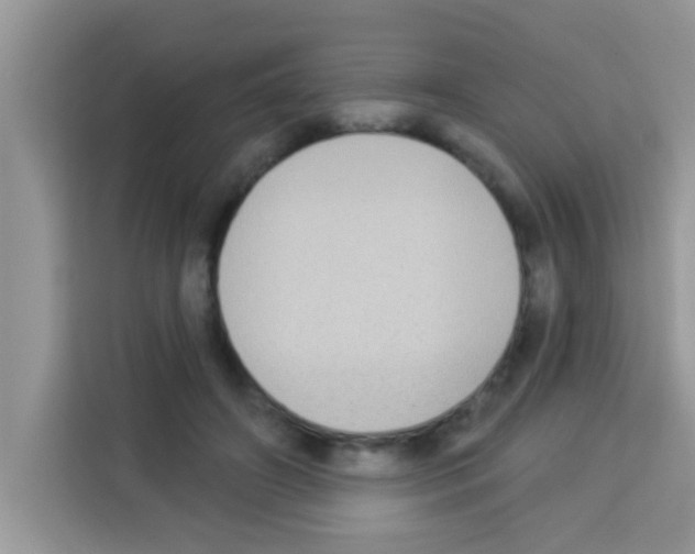 X0000113020498200910081203