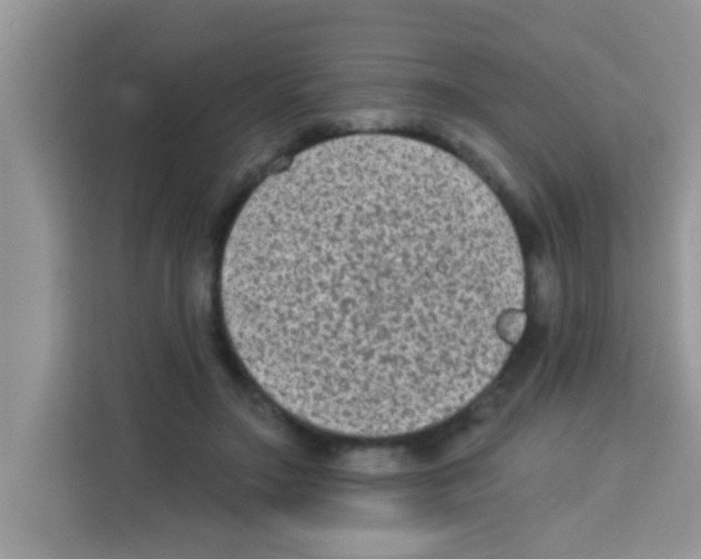 X0000113020499200910081203