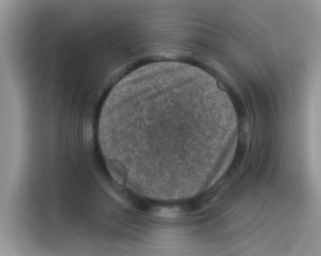 X0000113020500200910081203