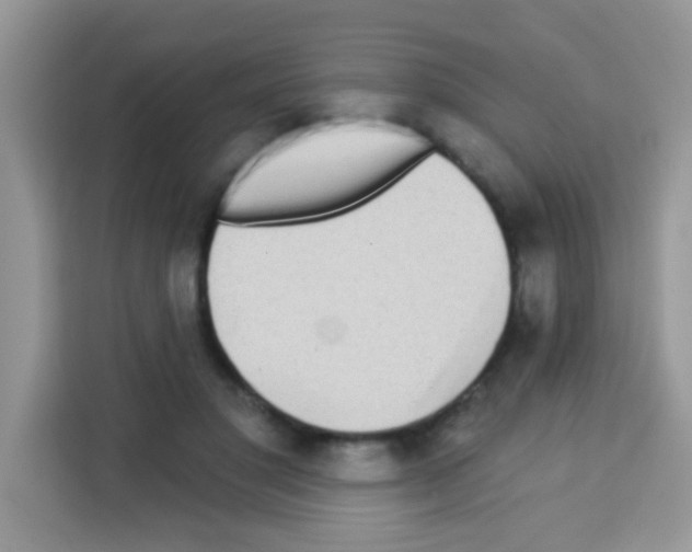 X0000113020501200910081203