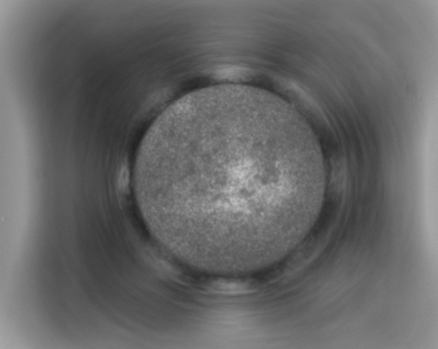 X0000113020502200910081203