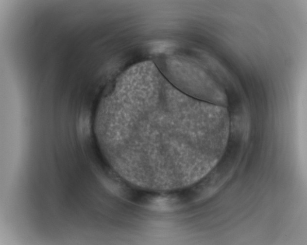 X0000113020504200910081203