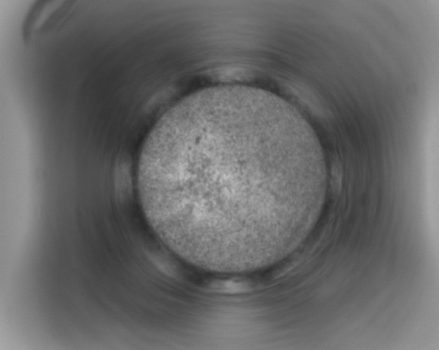 X0000113020506200910081202