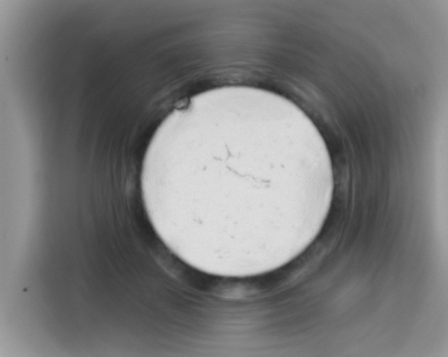 X0000113020507200910081202