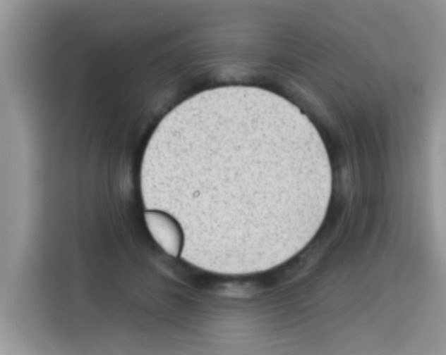 X0000113020508200910081202