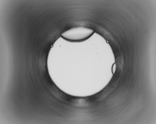 X0000113020509200910081202