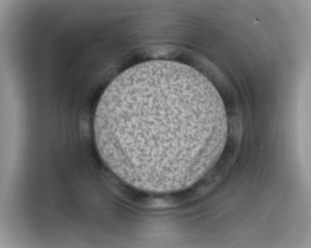 X0000113020510200910081202