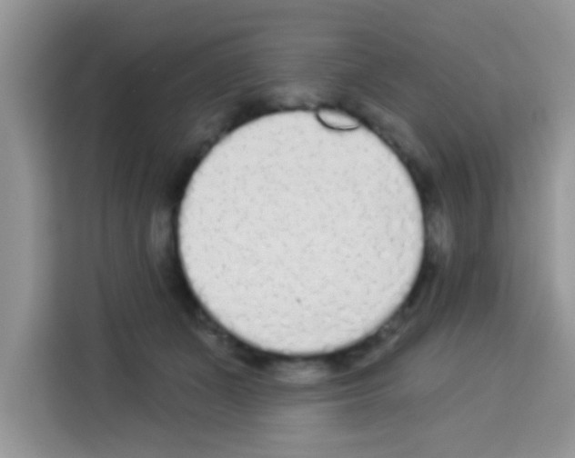 X0000113020511200910081202