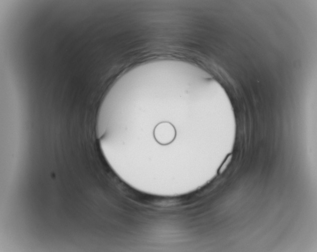 X0000113020513200910081202