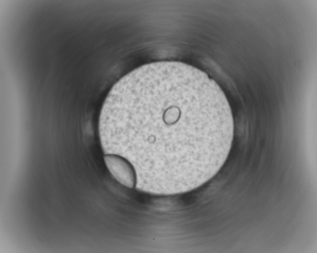 X0000113020516200910081202