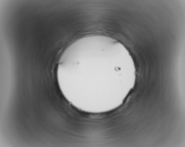 X0000113020520200910081202