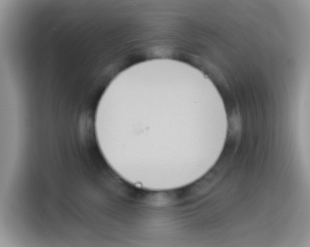 X0000113020522200910081202