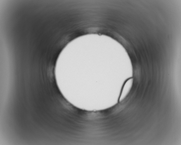 X0000113020525200910081202