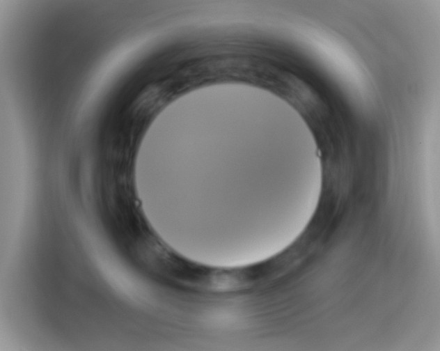 X0000113020526200910081202