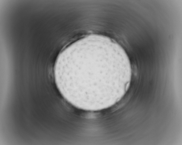 X0000113020527200910081202