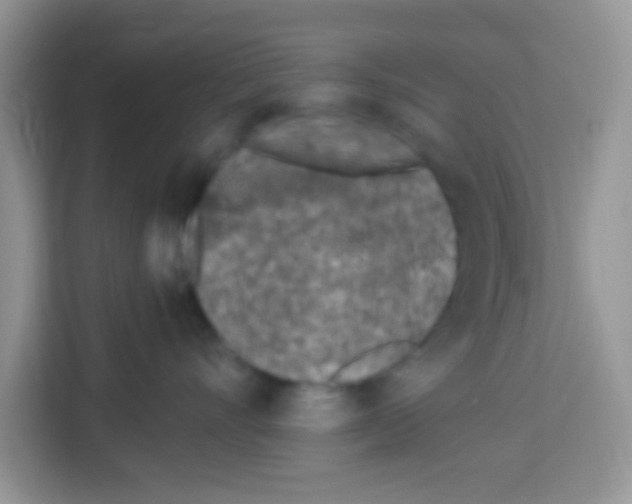 X0000113020528200910081202