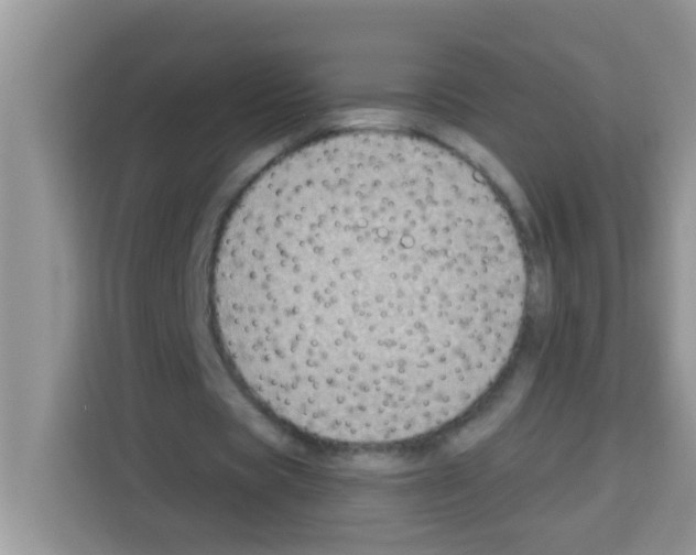 X0000113020529200910081202