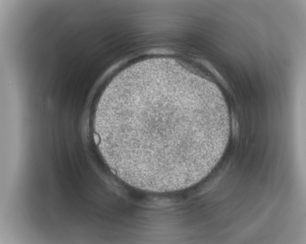 X0000113020531200910081202