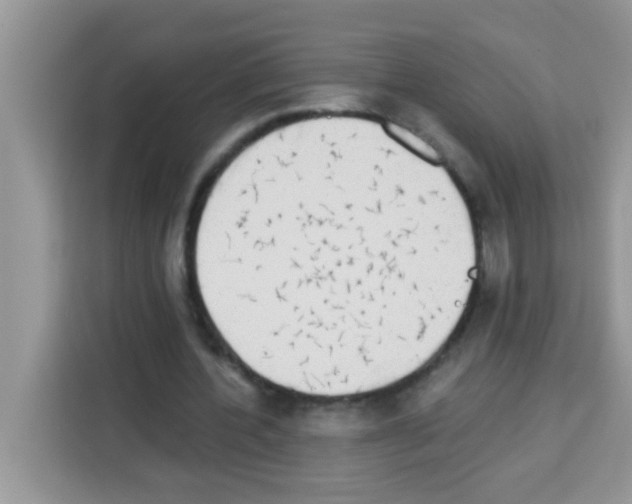 X0000113020532200910081202