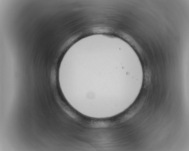 X0000113020533200910081202