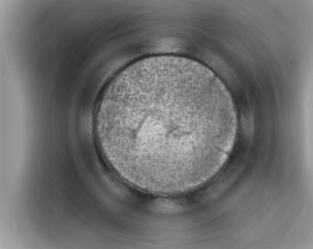 X0000113020534200910081202