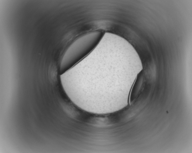 X0000113020552200910081202