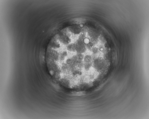 X0000113020553200910081202