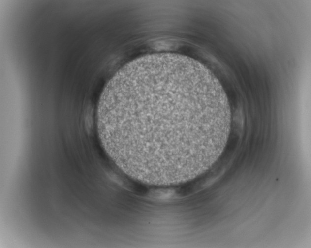 X0000113020554200910081202