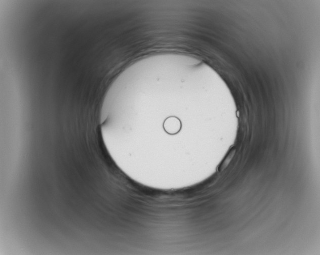 X0000113020556200910081202