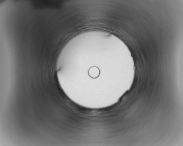 X0000113020562200910081202