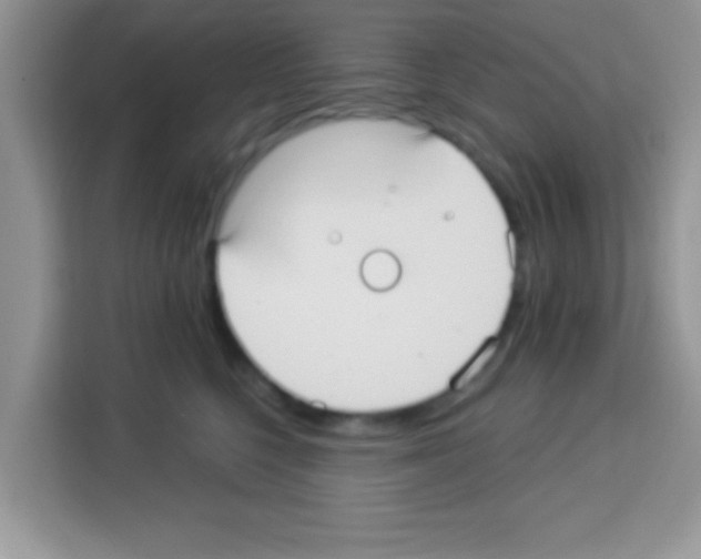 X0000113020568200910081202