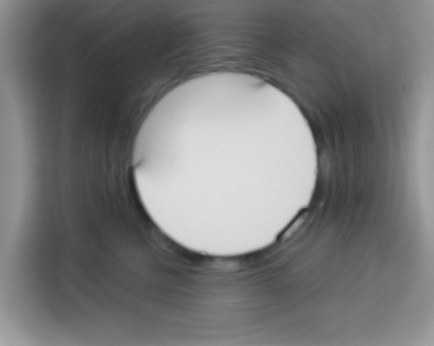 X0000113020570200910081202