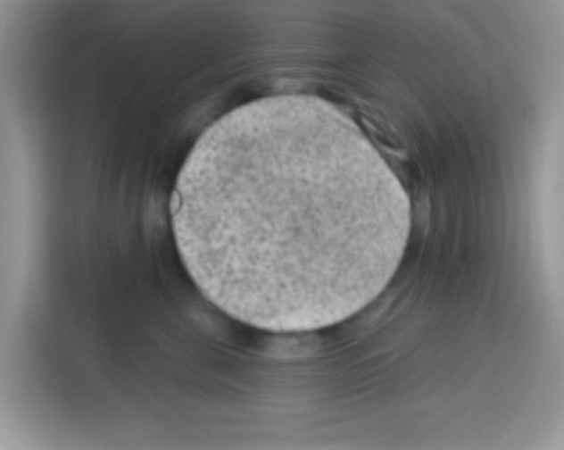 X0000113020571200910081202