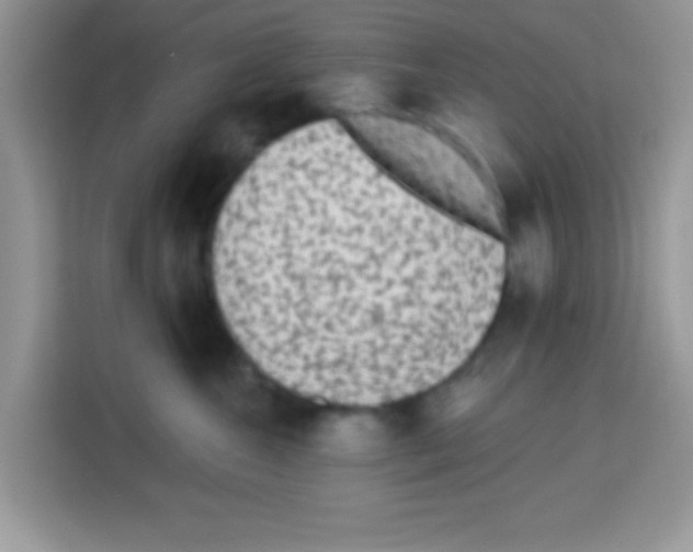 X0000113020572200910081202