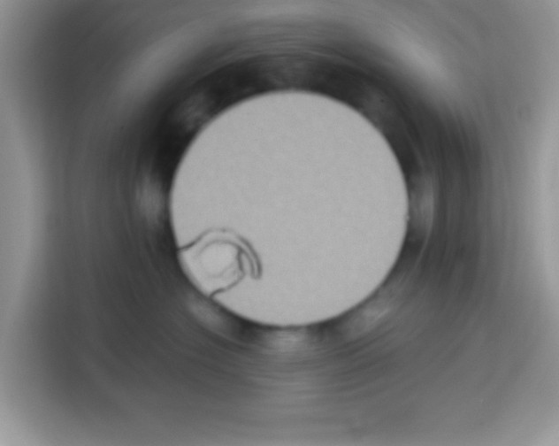 X0000113020574200910081202