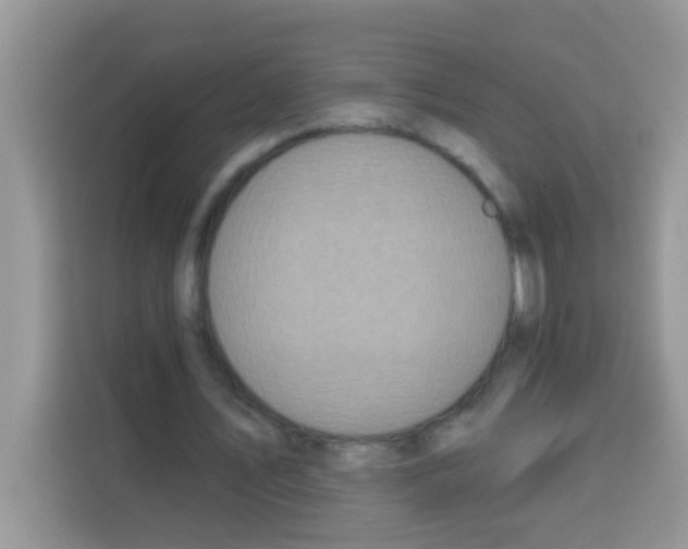 X0000113020579200910081202