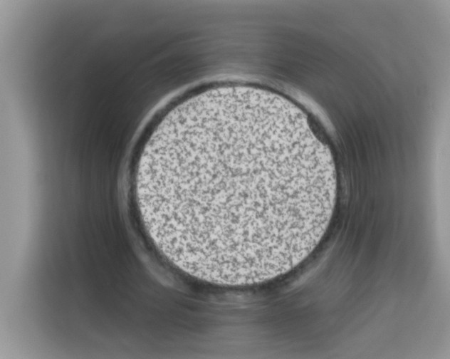 X0000113020580200910081202