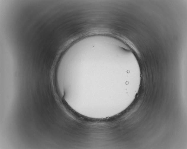 X0000113020581200910081202