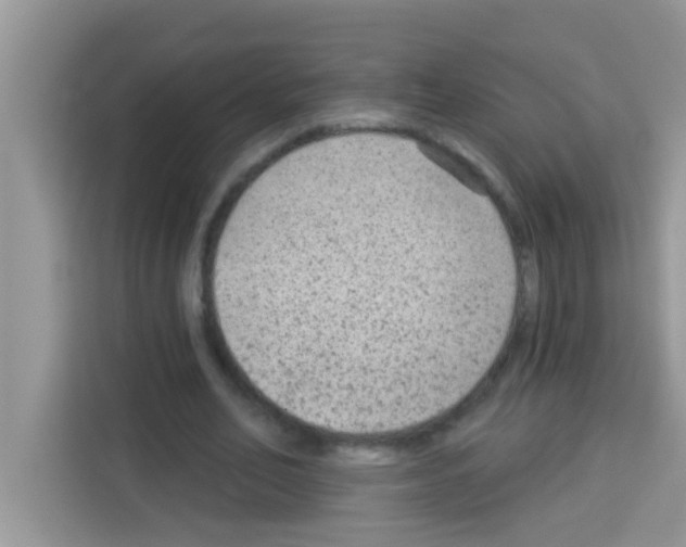 X0000113020582200910081202