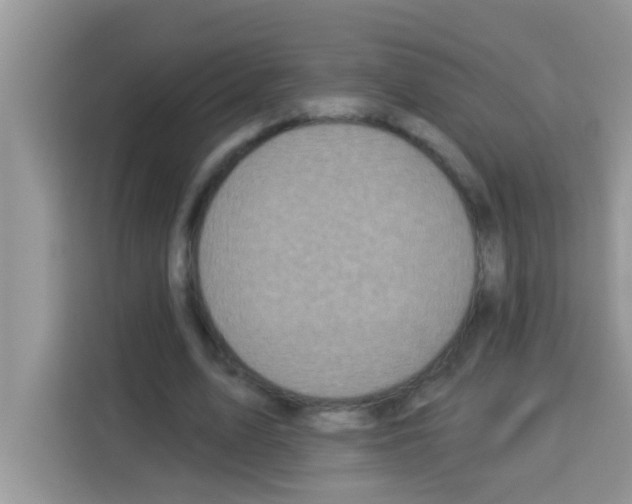 X0000113020583200910081201