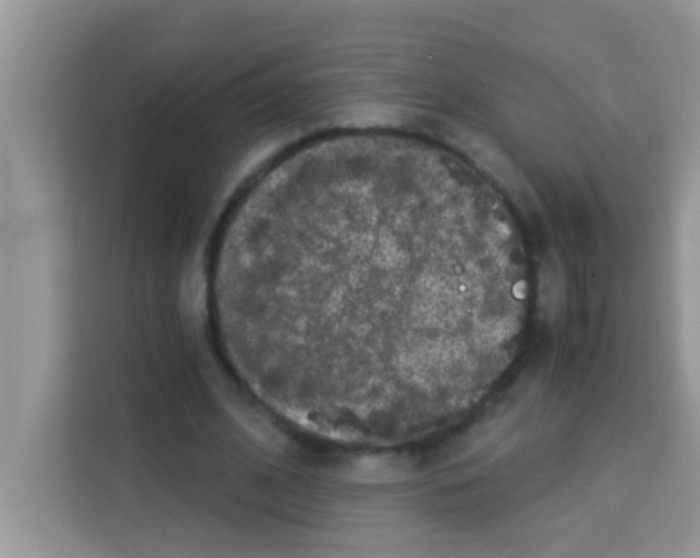 X0000113020584200910081201