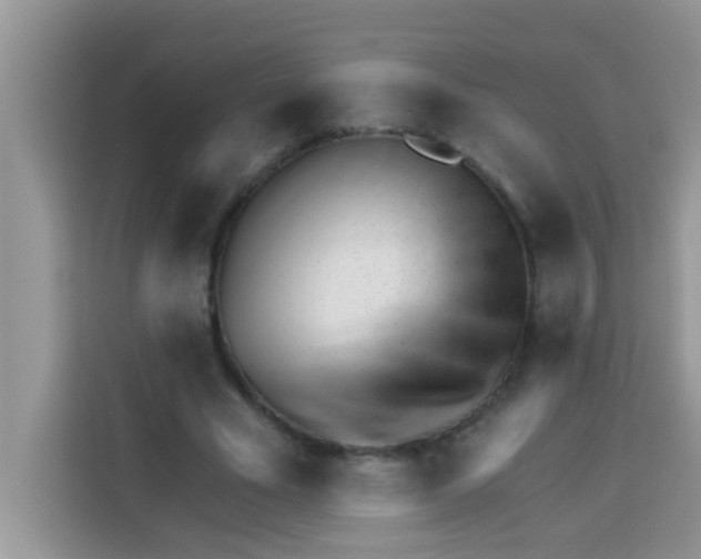 X0000113020585200910081201