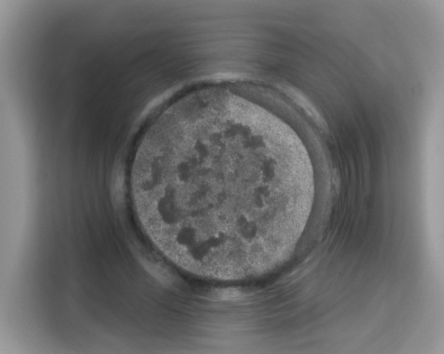 X0000113020588200910081201