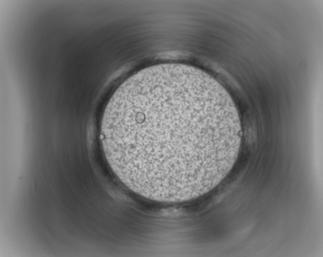 X0000113020591200910081201