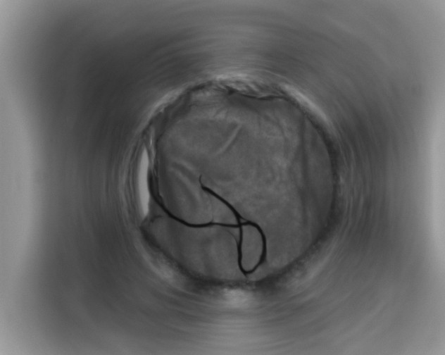 X0000113020592200910081201