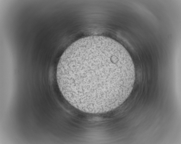 X0000113020594200910081201